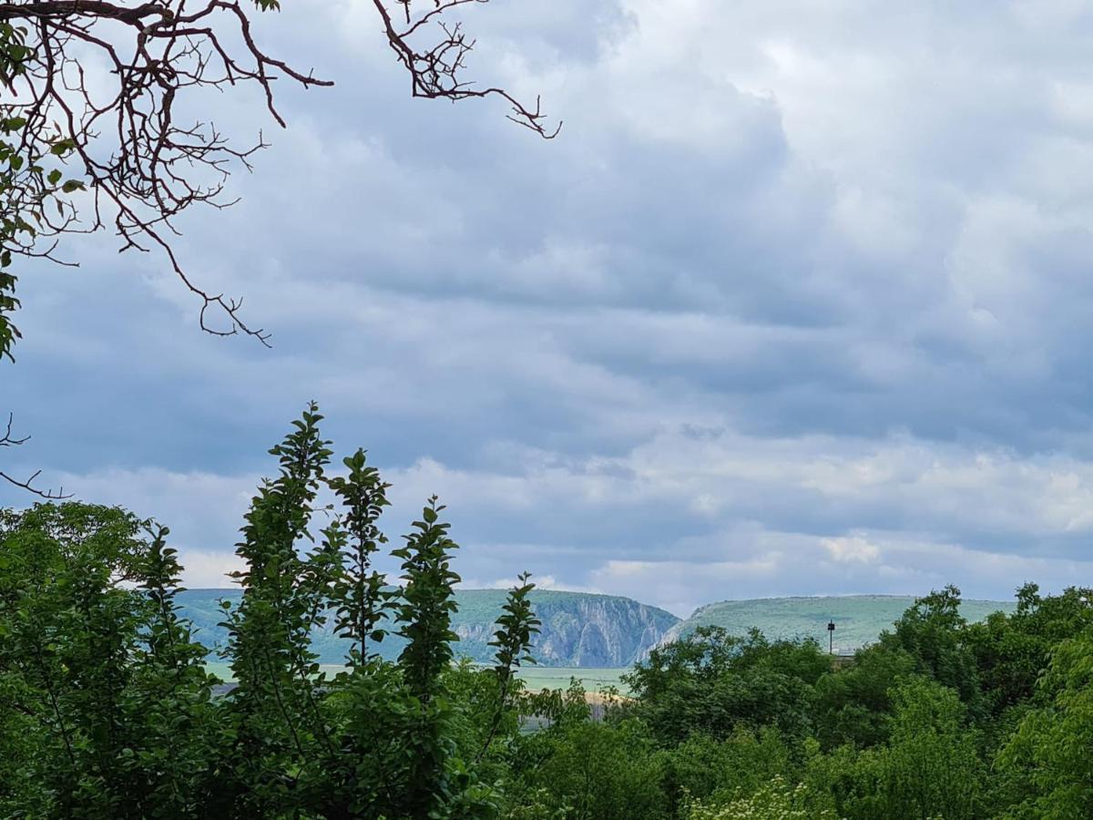 Bella Vista Bungalow Turda Luaran gambar