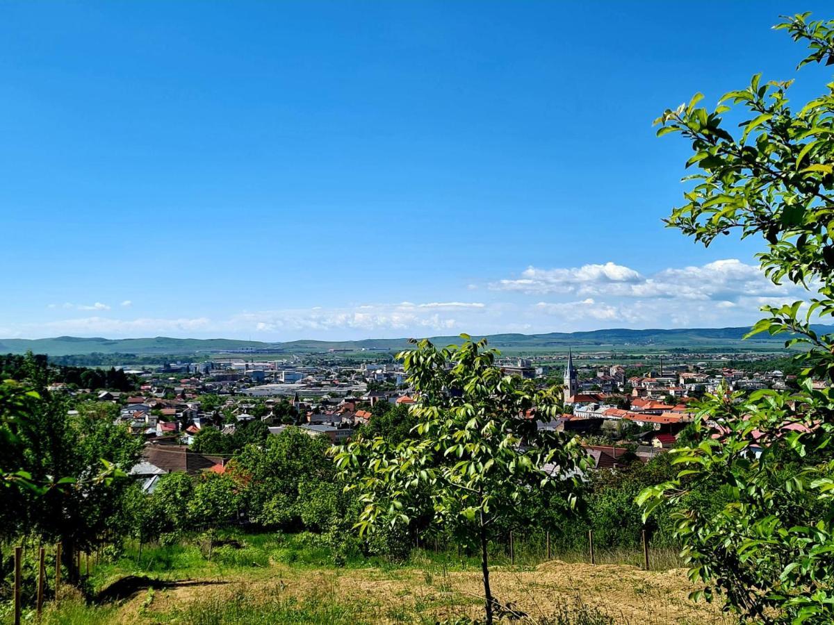 Bella Vista Bungalow Turda Luaran gambar